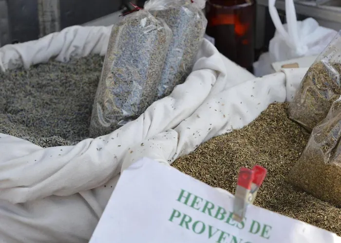 Apartman Familial Climatise Avec Piscine, Terrasse Et Parking - 5 Couchages - - Fr-1-251-426 *